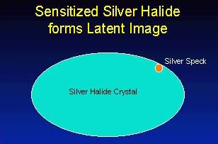 What Is Silver Halide? Understanding The Silver Halide Printing Process